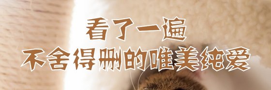 看了一遍不捨得刪的唯美純愛